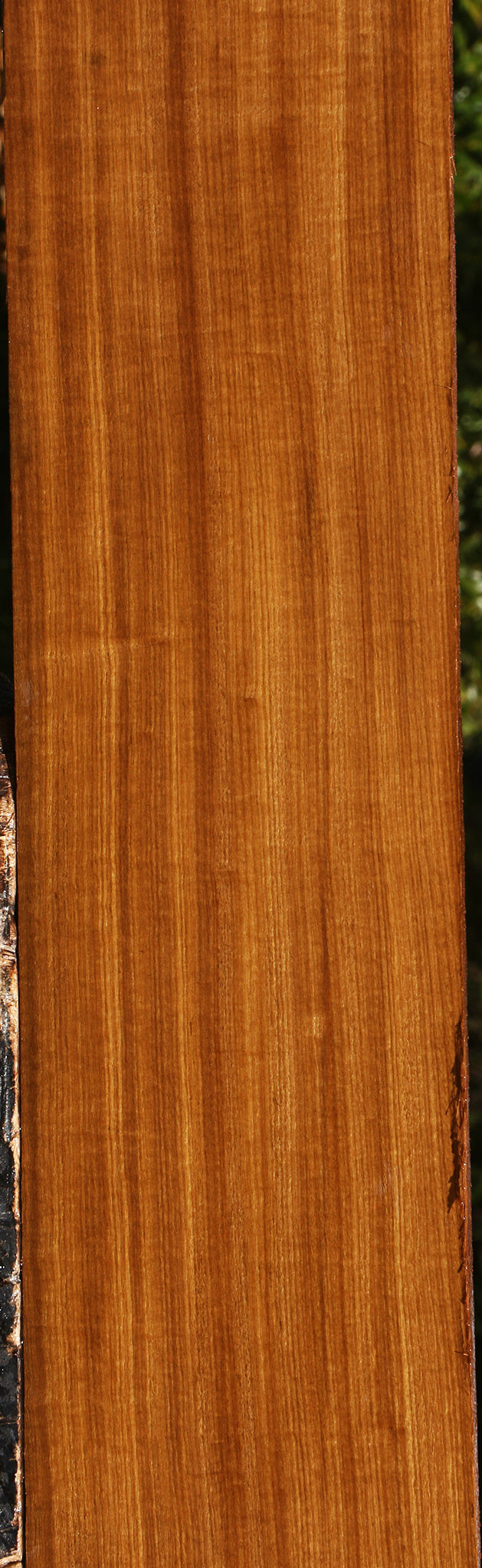 Figured Quartersawn Afrormosia Lumber