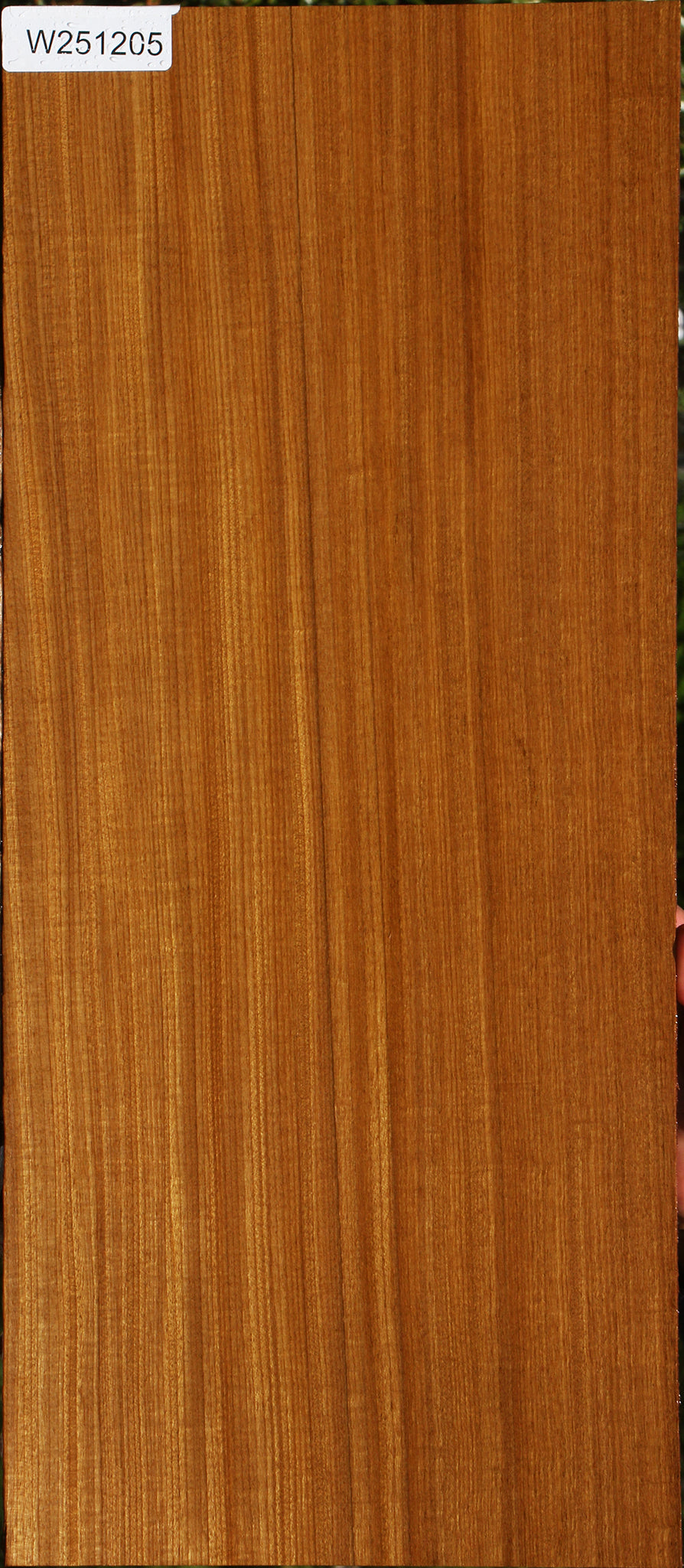 Figured Quartersawn Afrormosia Lumber