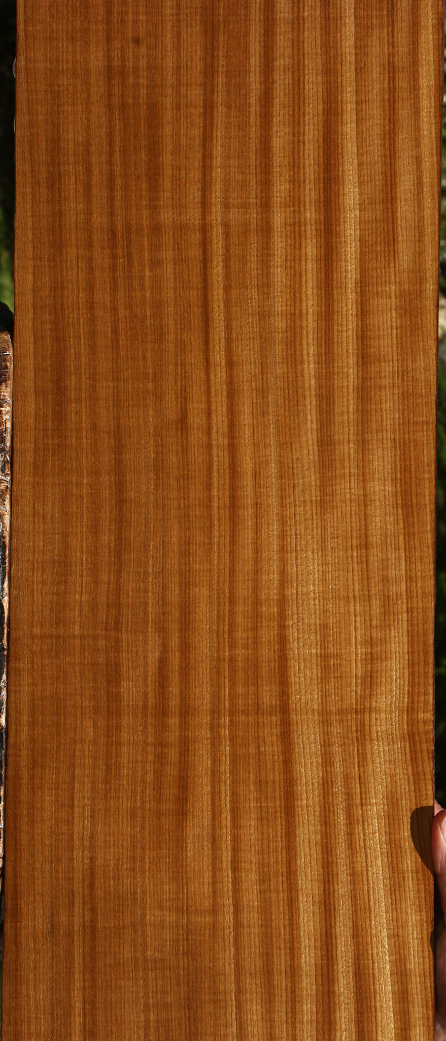 Extra Fancy Quartersawn Afrormosia Lumber