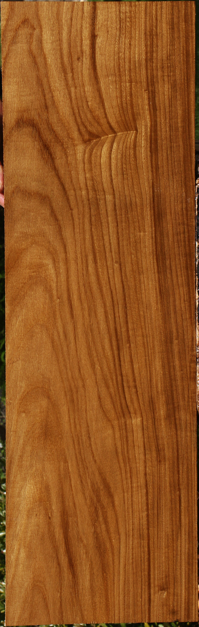 Afrormosia Lumber