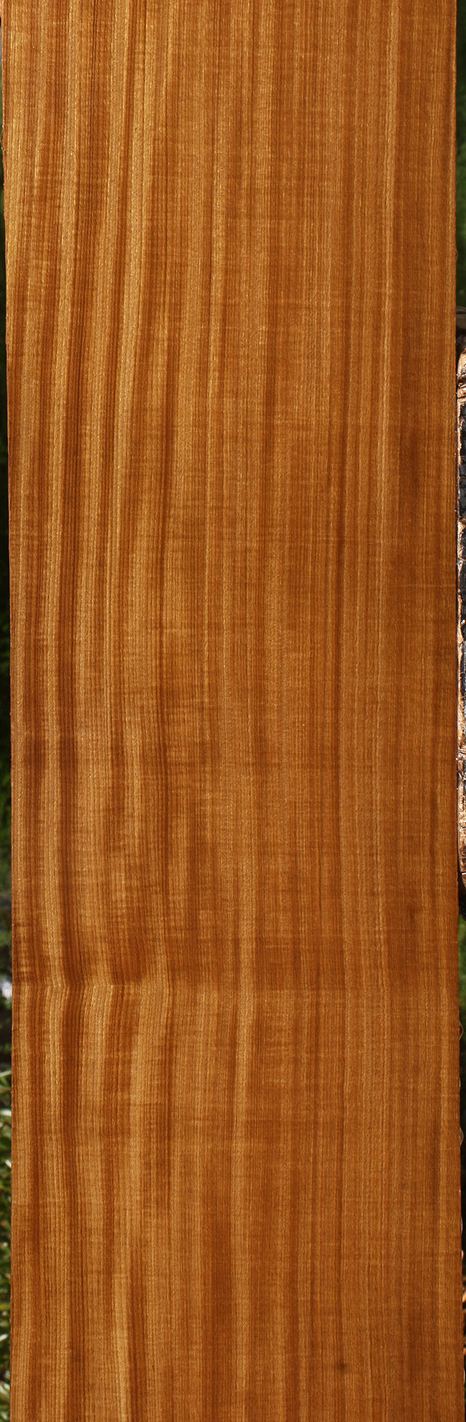 Extra Fancy Quartersawn Afrormosia Lumber