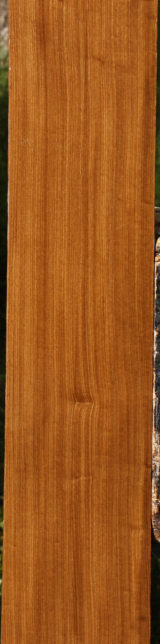Afrormosia Lumber