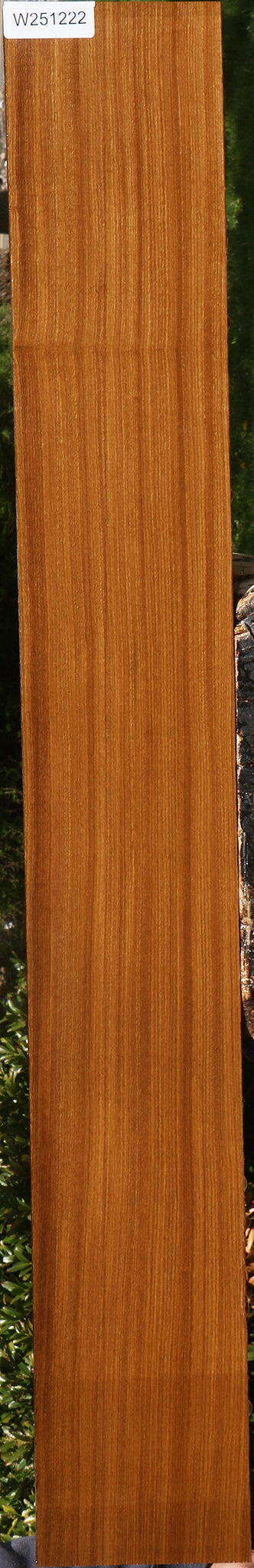 Afrormosia Lumber