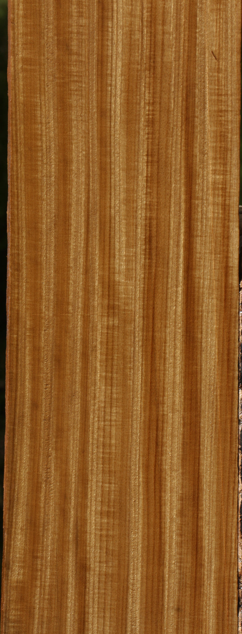 Extra Fancy Quartersawn Afrormosia Lumber
