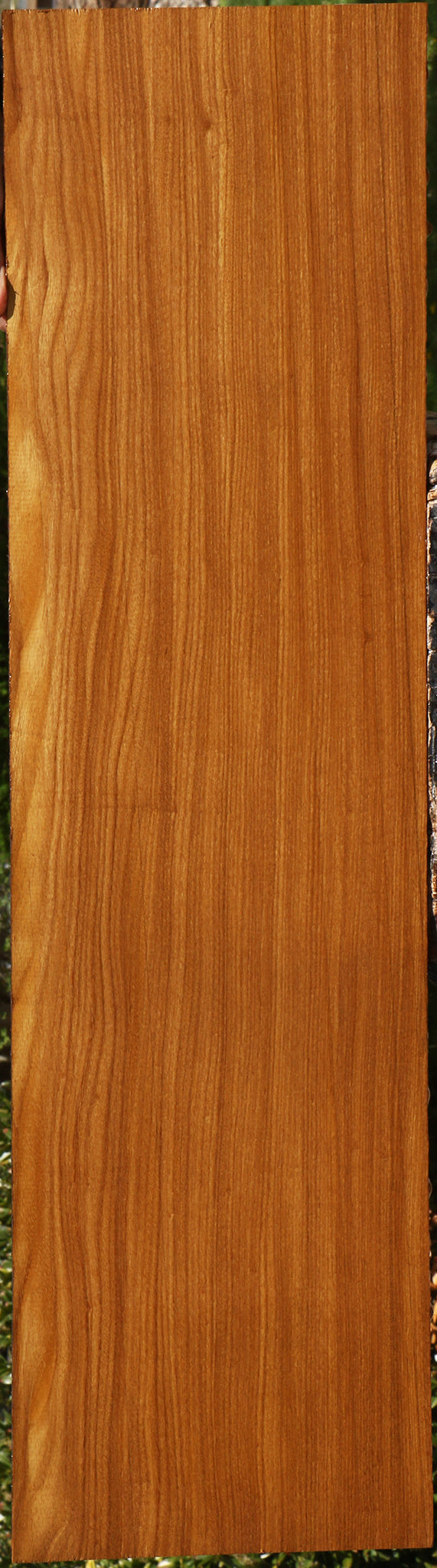 Afrormosia Lumber