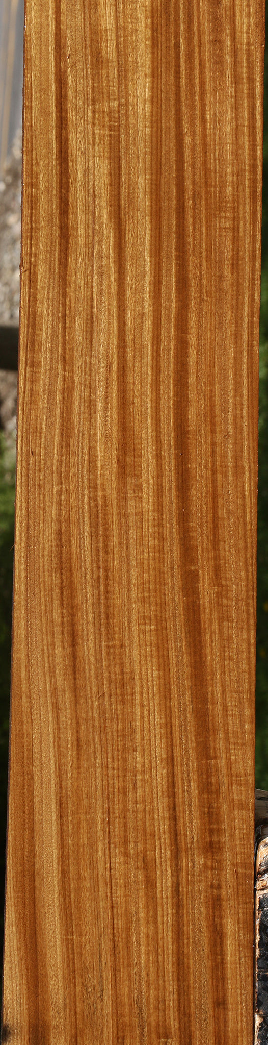 Figured Quartersawn Afrormosia Lumber