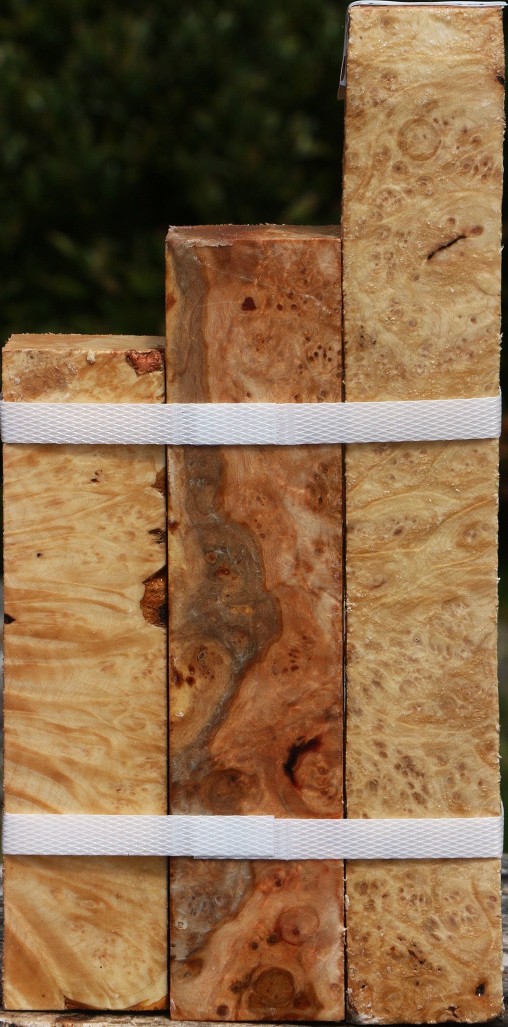 Maple Burl Turning Square 3 Pack