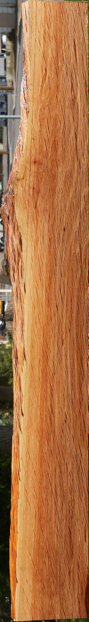 Beefwood Live Edge Lumber