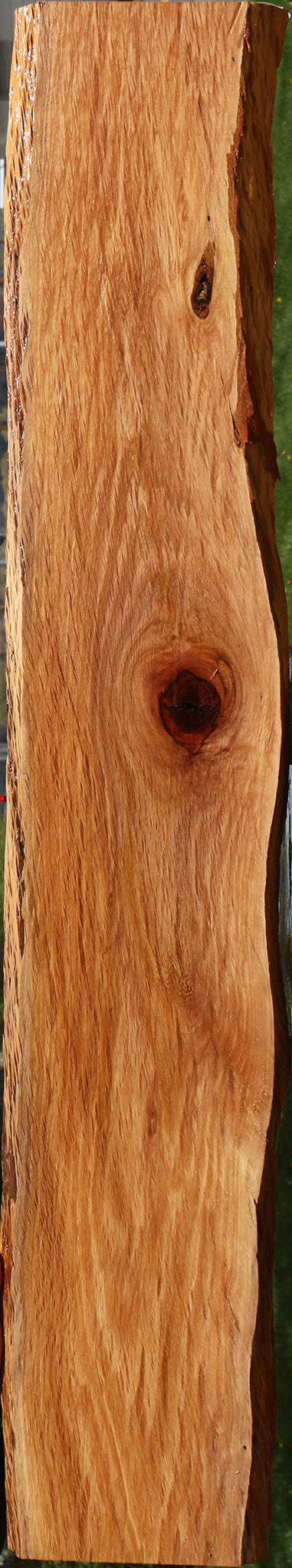 Beefwood Live Edge Lumber