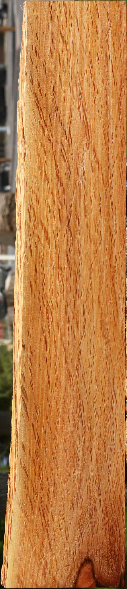 Beefwood Live Edge Lumber
