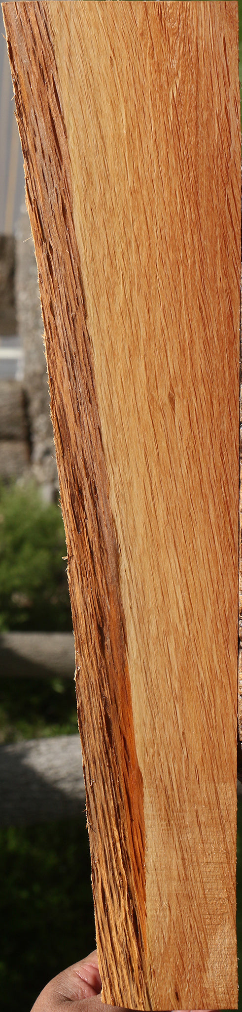 Beefwood Live Edge Lumber