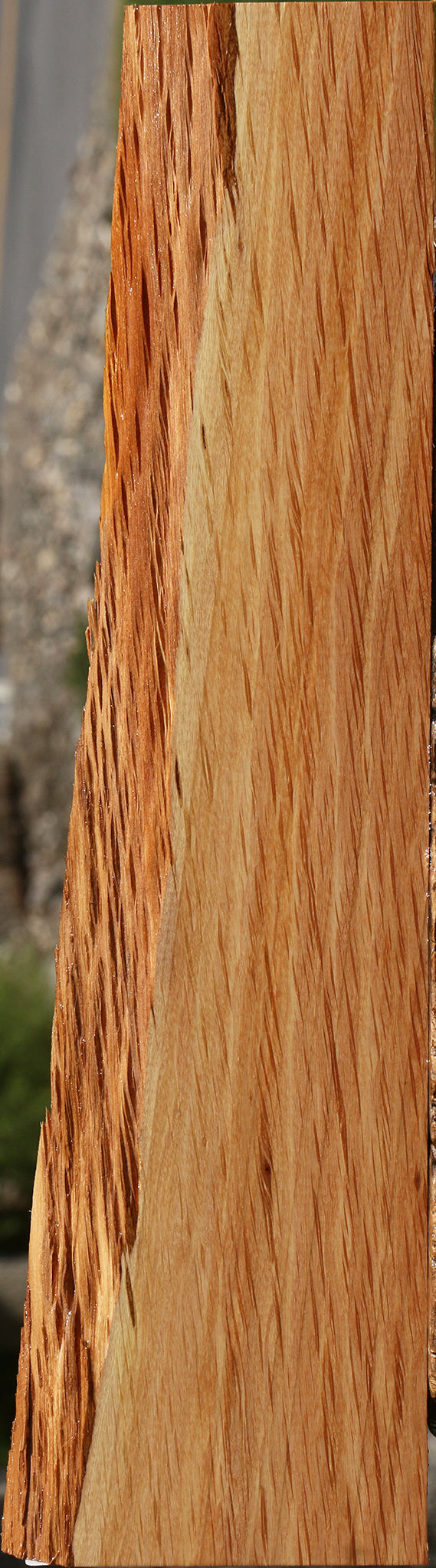 Beefwood Live Edge Lumber