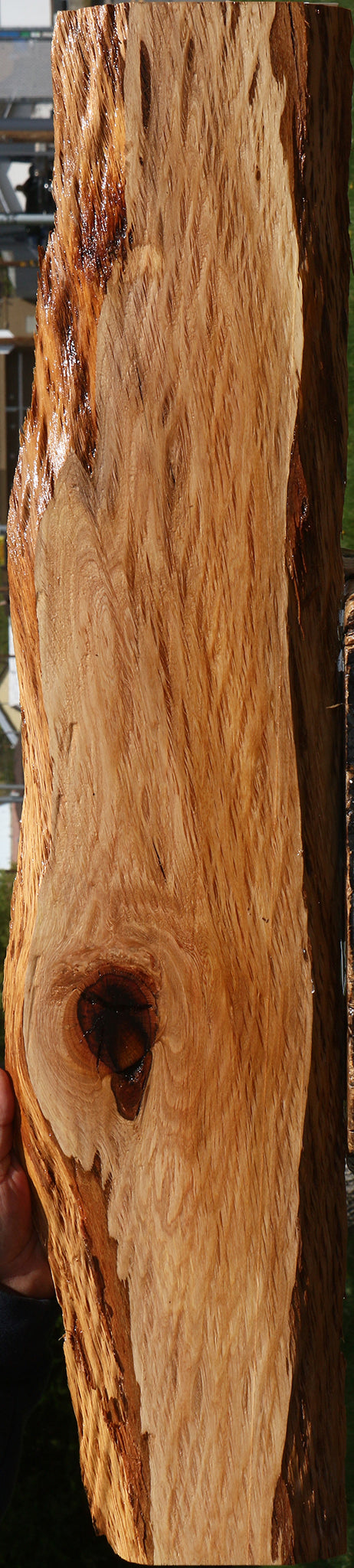 Figured Rustic Beefwood Live Edge Lumber