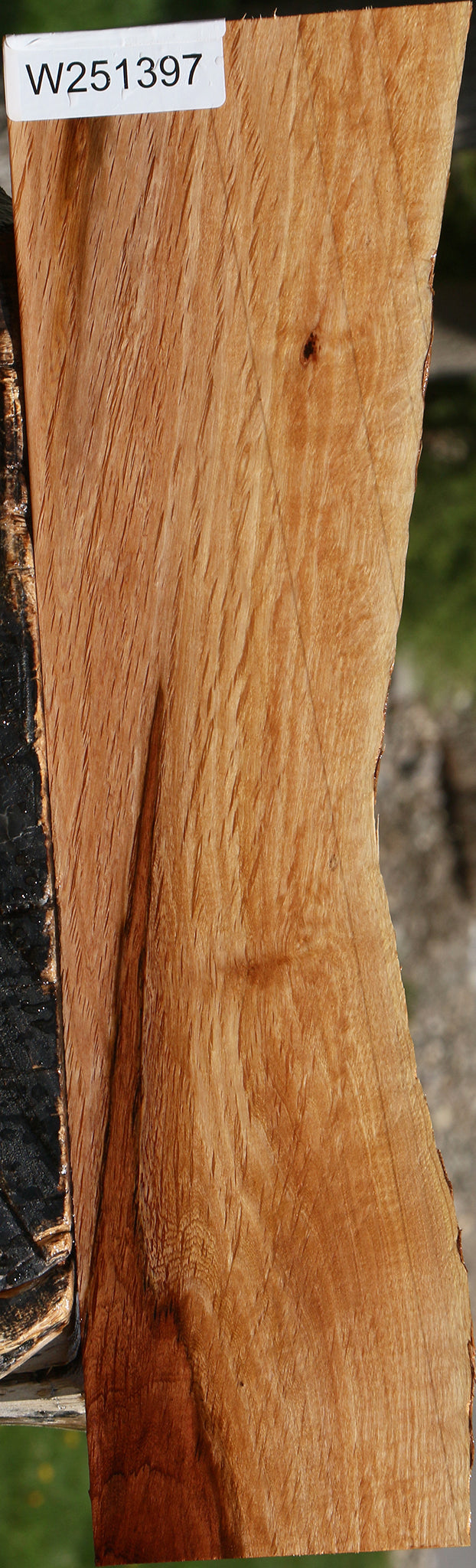 Beefwood Live Edge Lumber