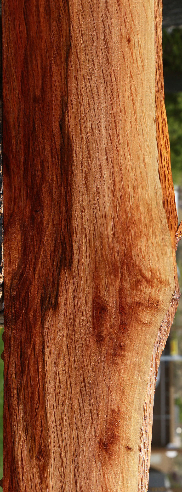 Figured Beefwood Live Edge Lumber