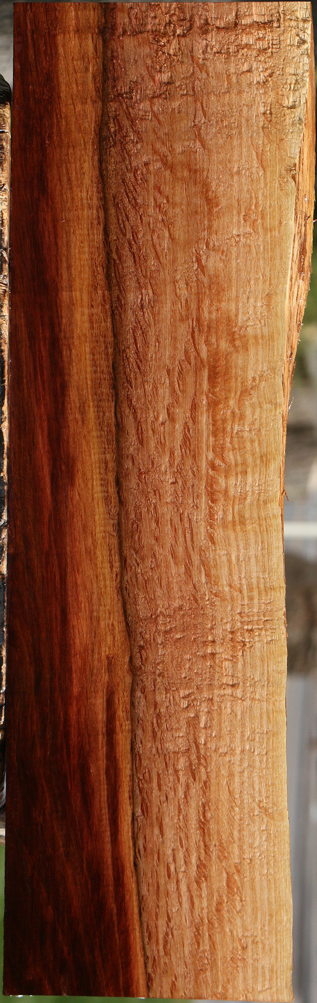 Figured Beefwood Live Edge Lumber