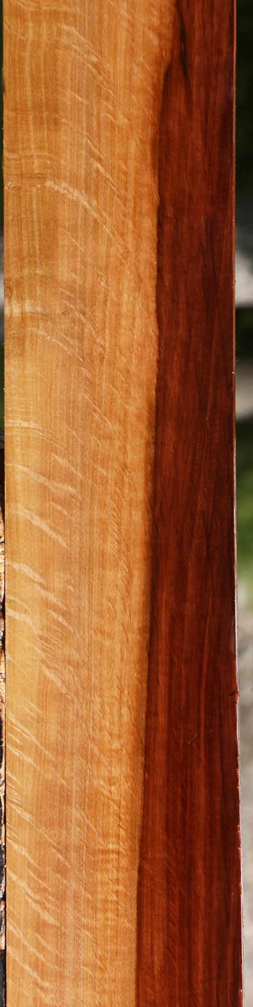Extra Fancy Beefwood Lumber