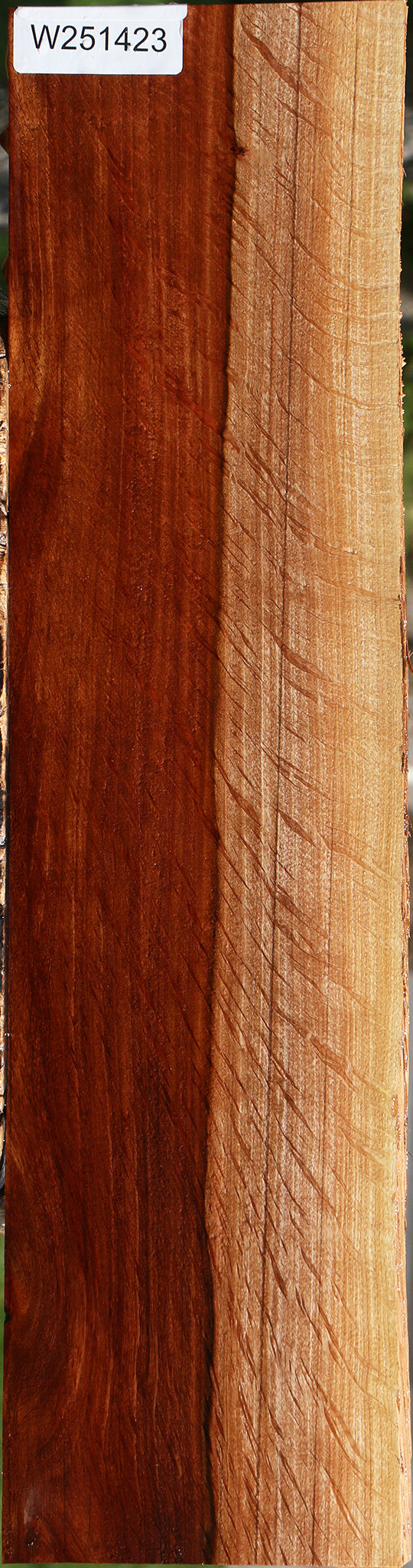 Extra Fancy Beefwood Live Edge Micro Lumber