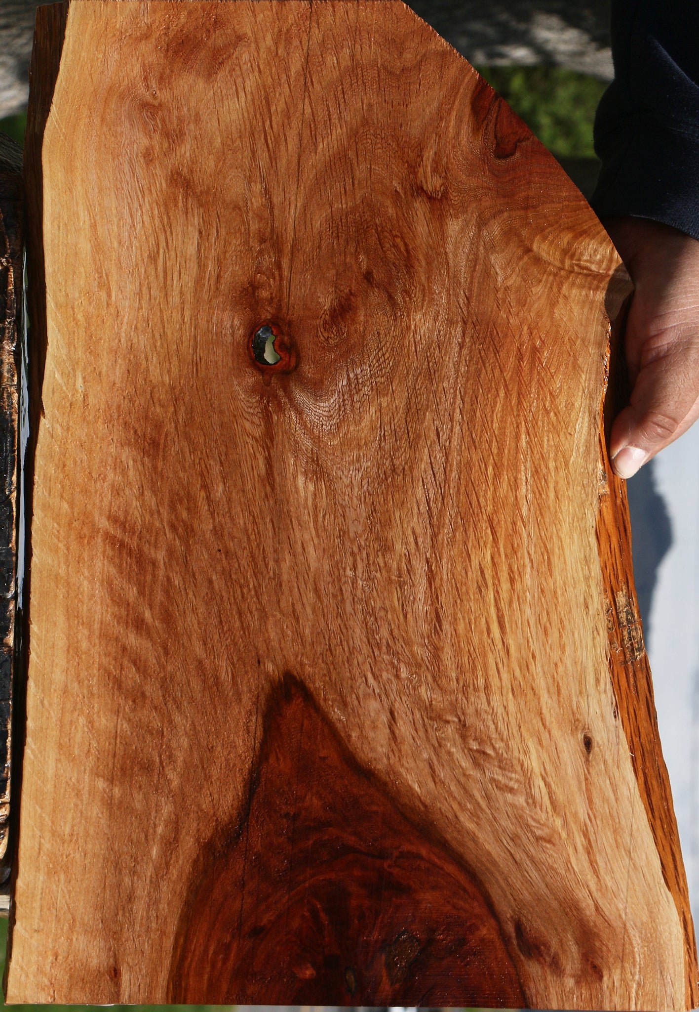 Figured Beefwood Live Edge Lumber