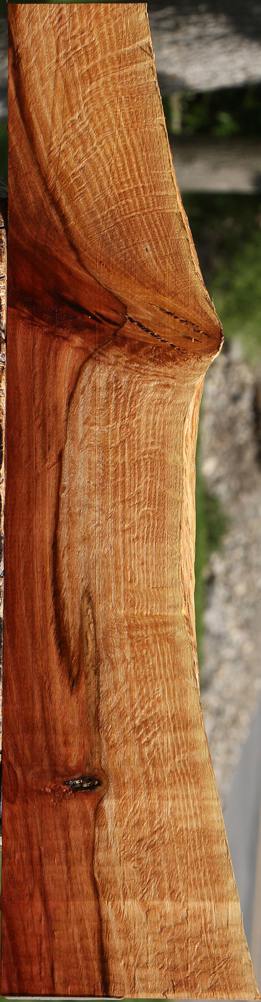 Figured Beefwood Live Edge Micro Lumber
