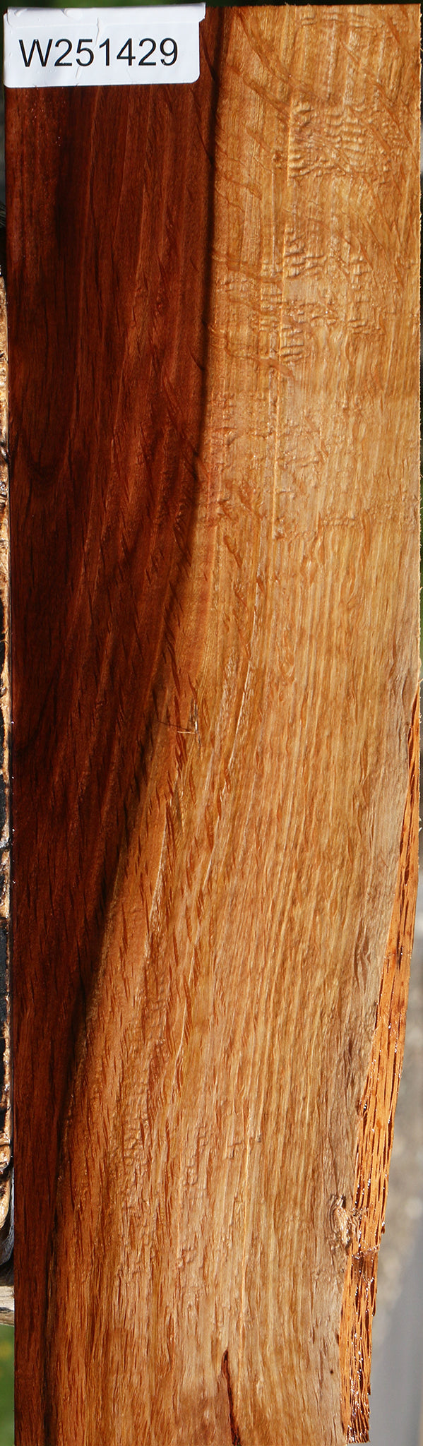 Extra Fancy Beefwood Live Edge Lumber