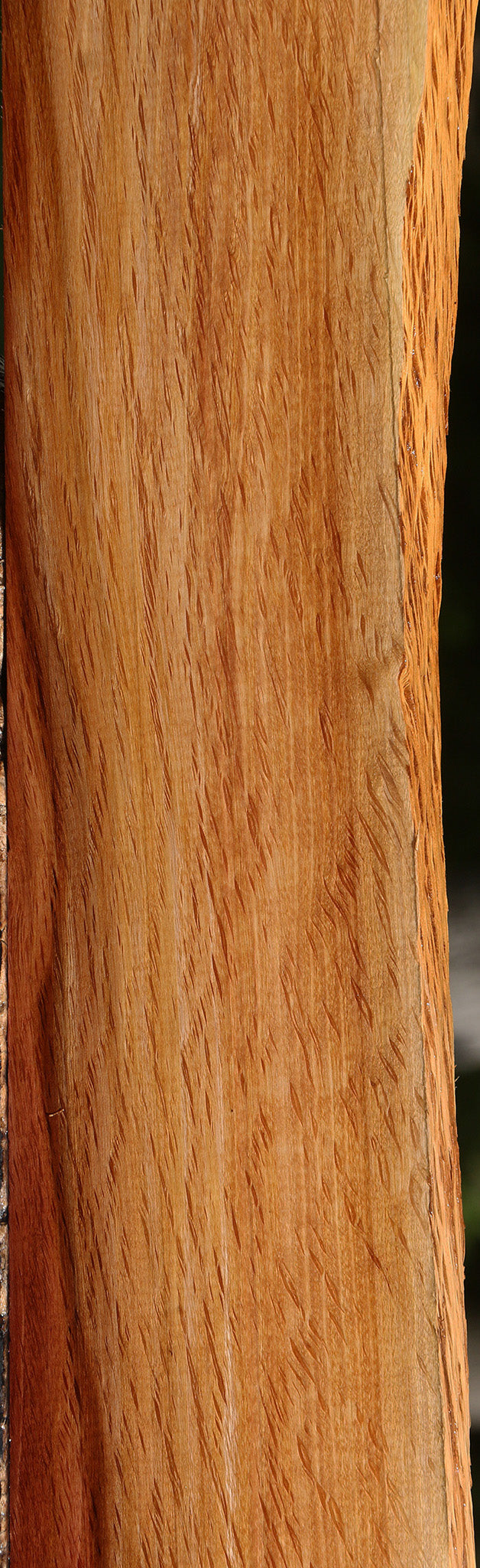 Beefwood Live Edge Lumber