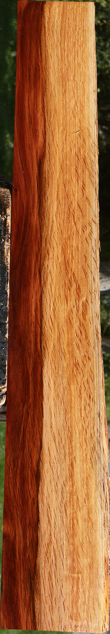 Figured Beefwood Live Edge Lumber