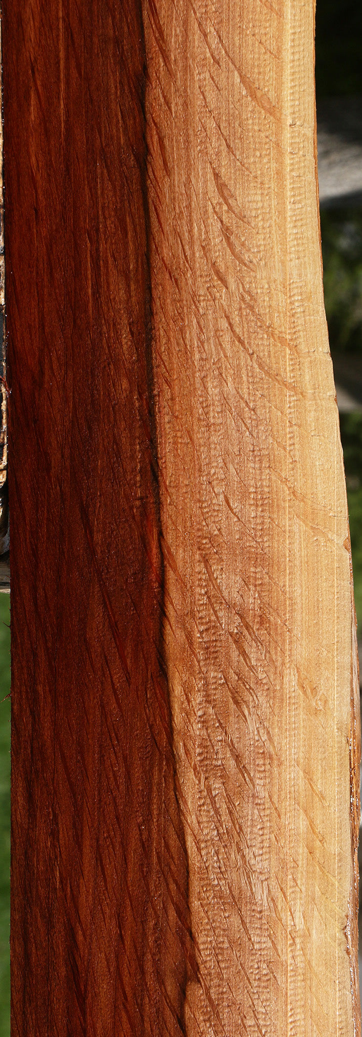 Extra Fancy Beefwood Live Edge Lumber