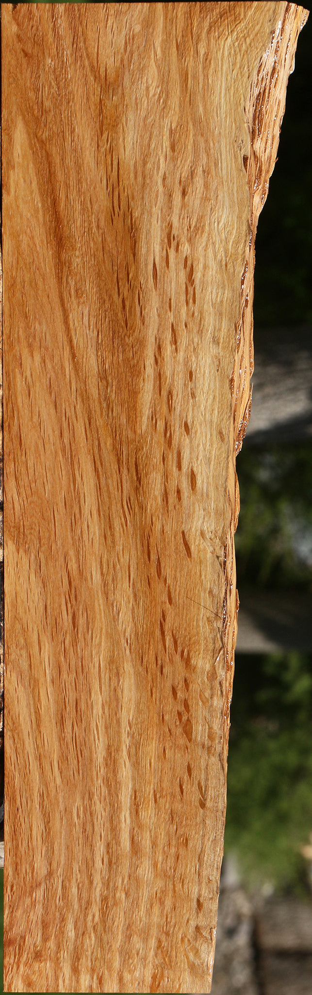 Beefwood Live Edge Lumber