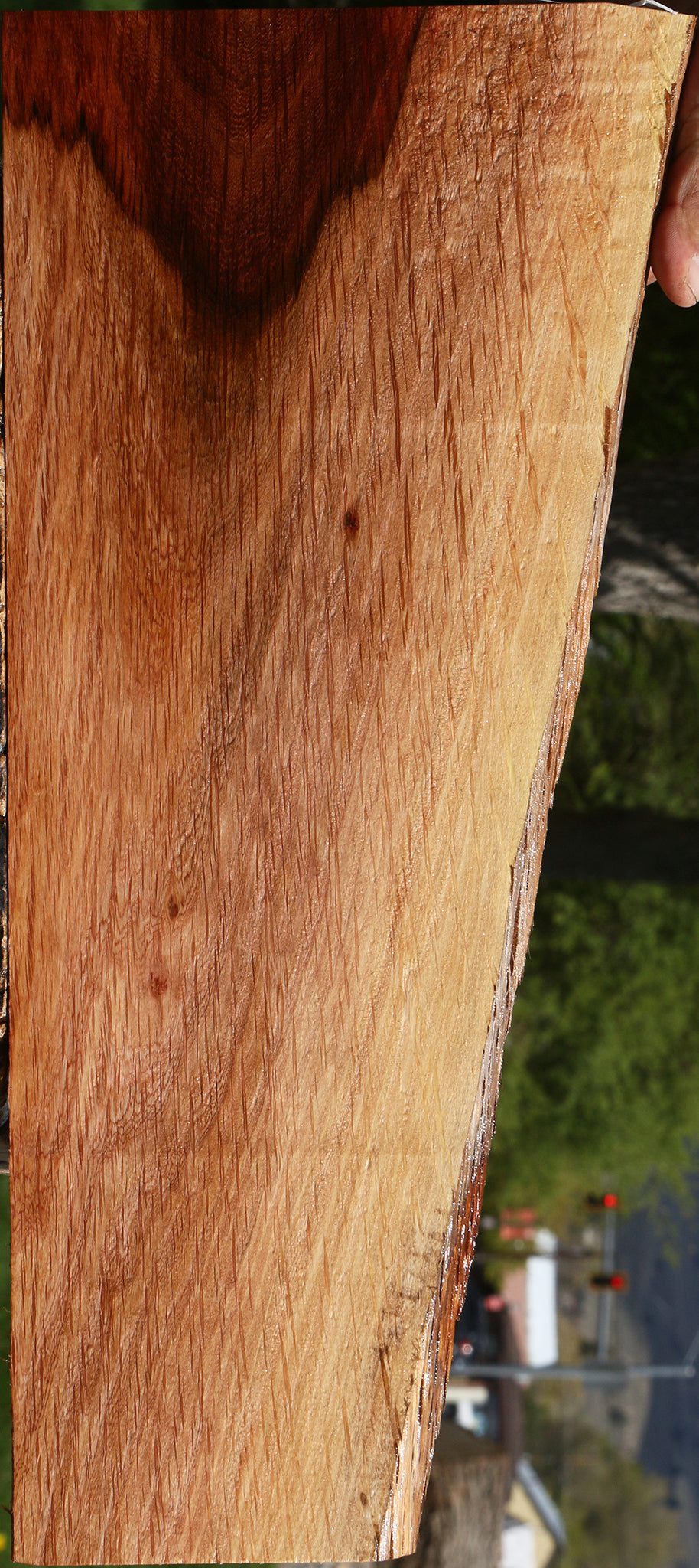 Beefwood Live Edge Lumber