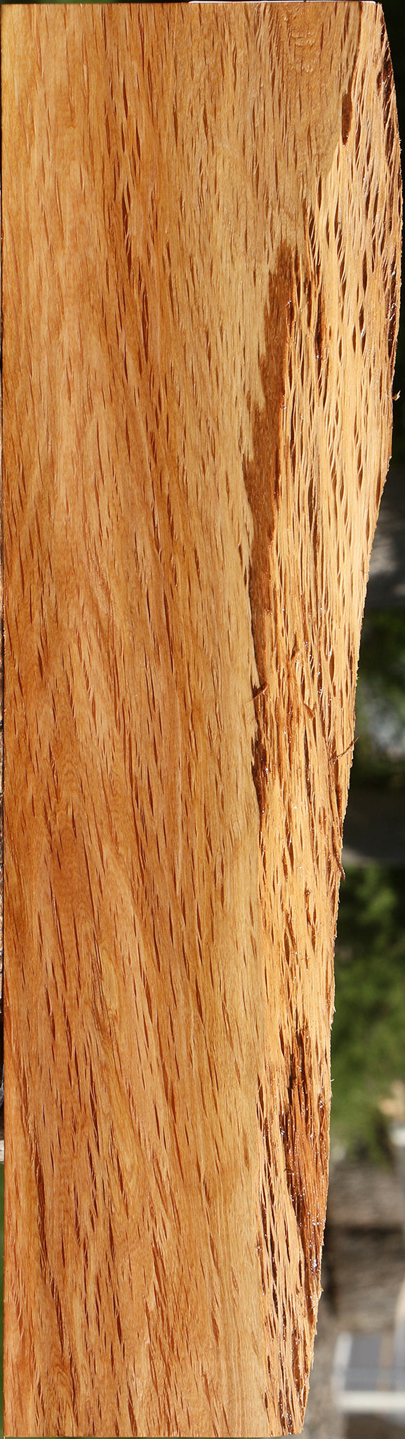 Beefwood Live Edge Lumber
