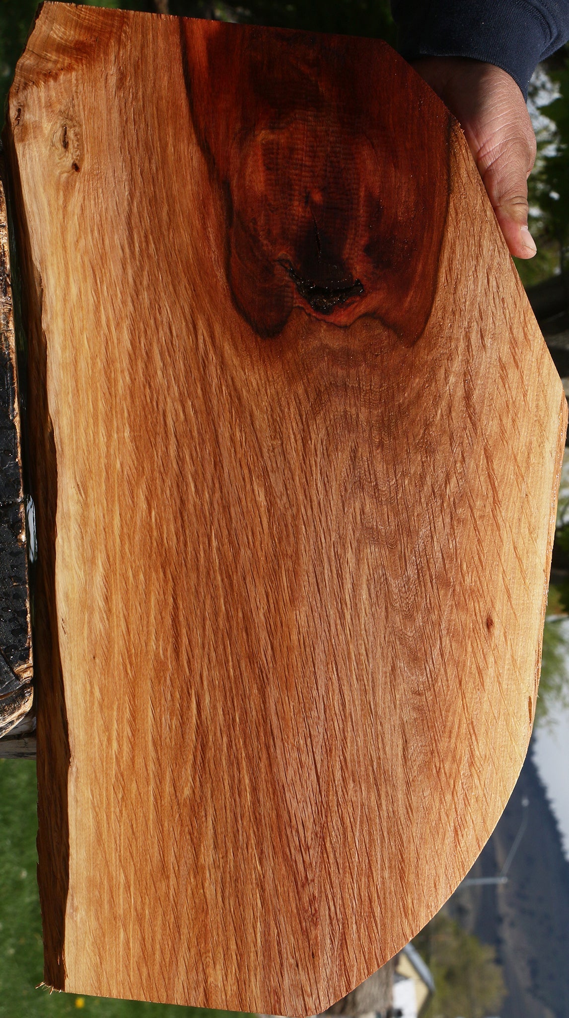 Beefwood Live Edge Lumber