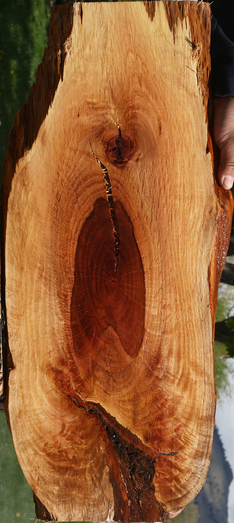 Extra Fancy Rustic Beefwood Live Edge Lumber