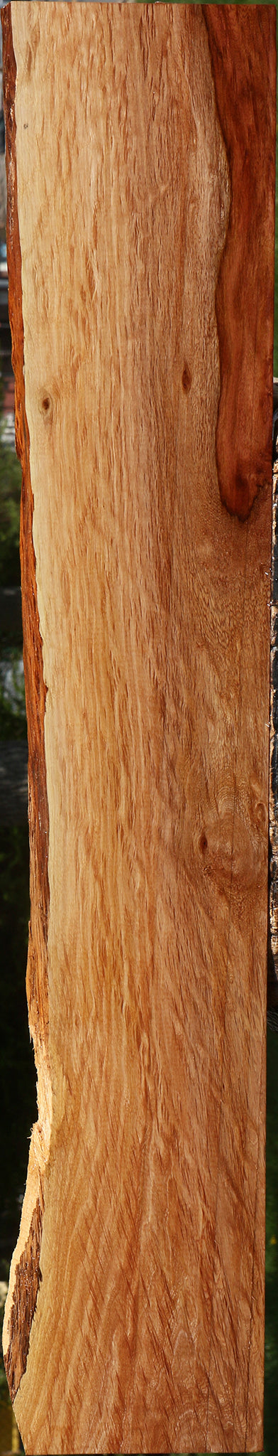 Figured Beefwood Live Edge Lumber