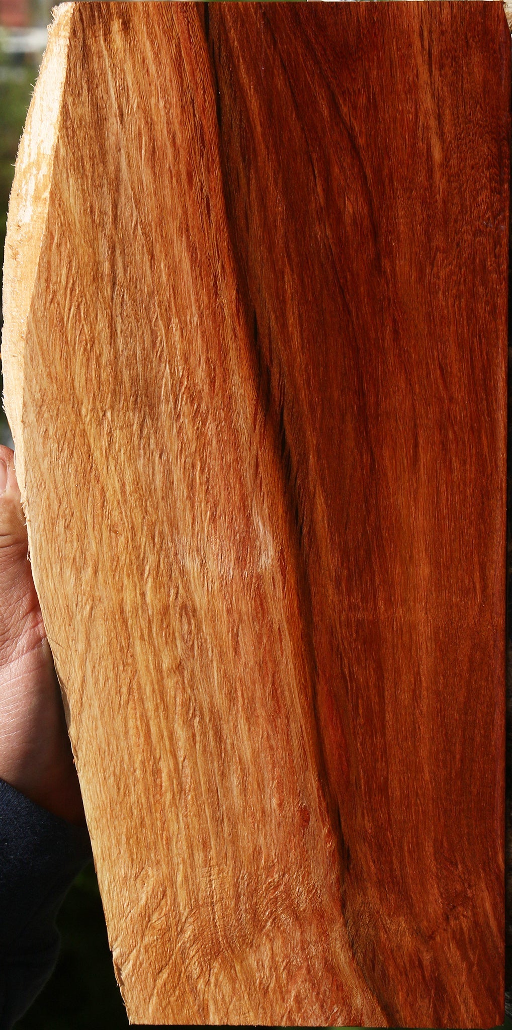 Beefwood Live Edge Lumber
