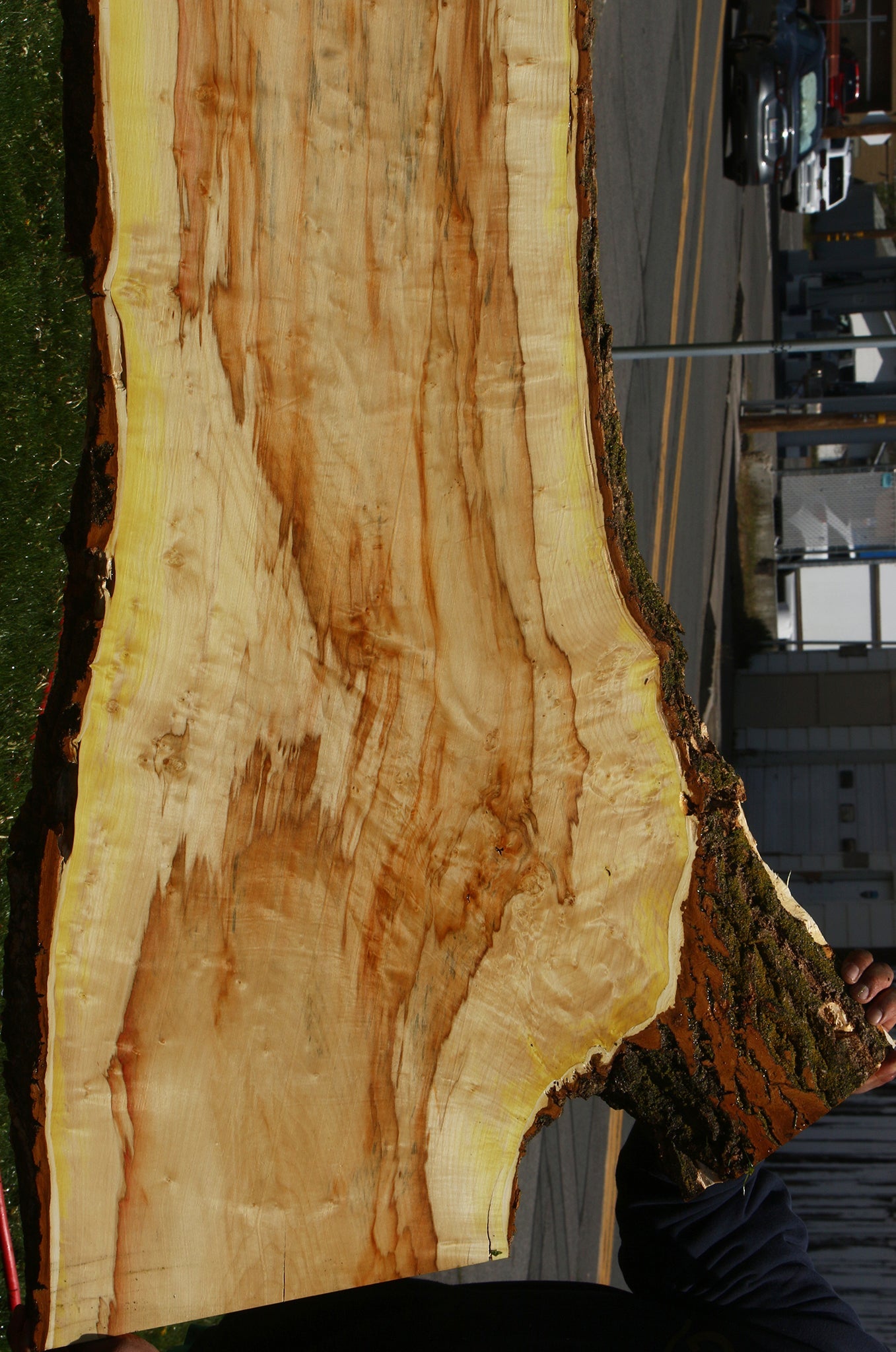 Figured Box Elder Live Edge Slab