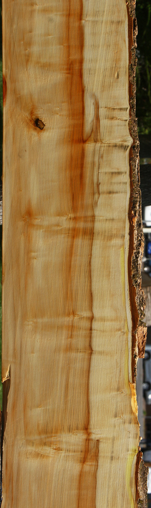 Box Elder Live Edge Slab (Free Shipping Excluded)