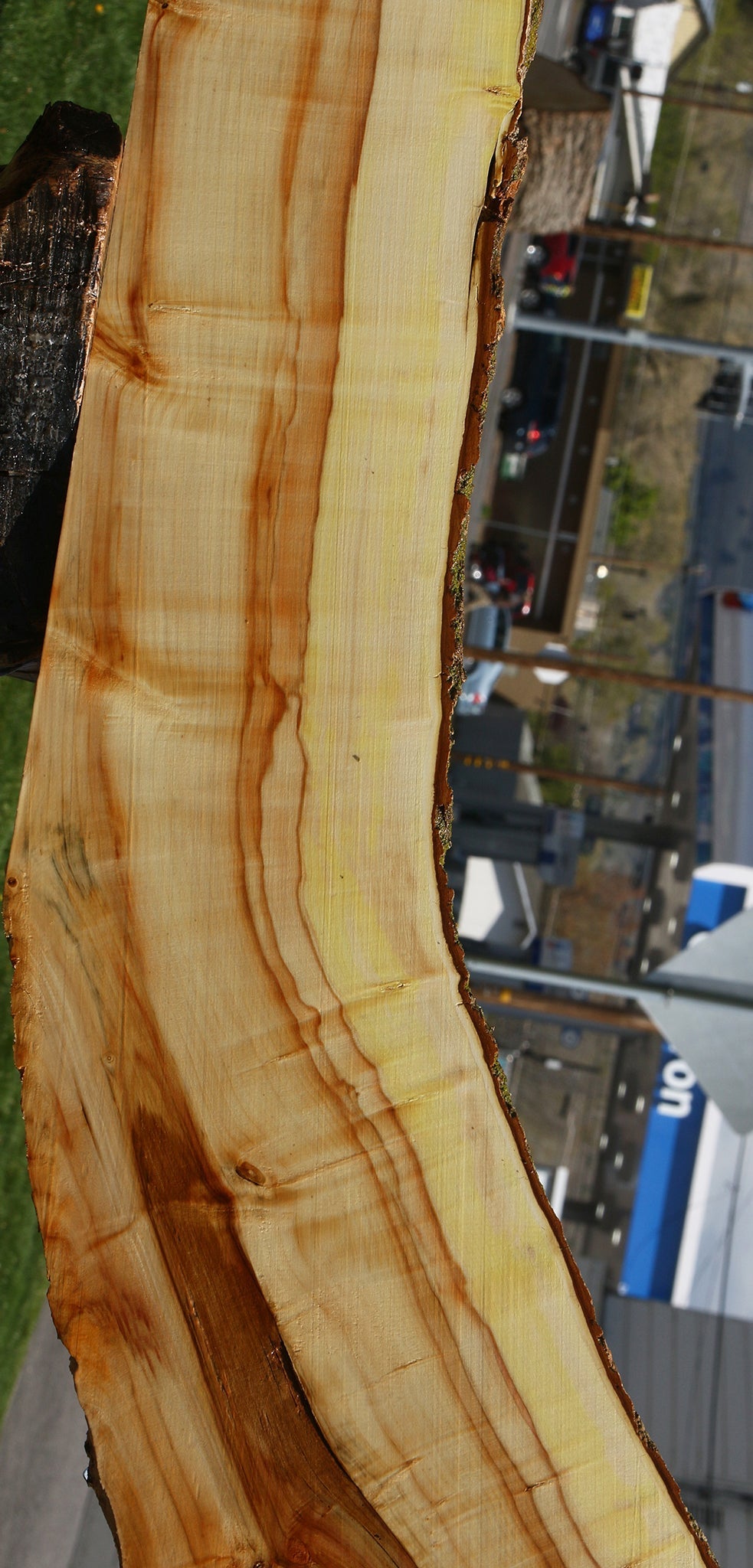 Figured Box Elder Live Edge Slab