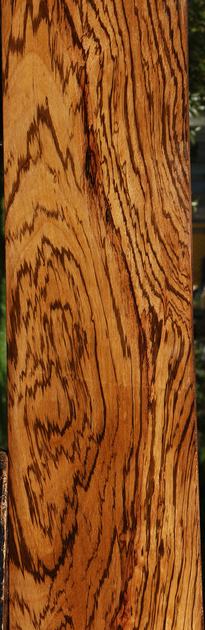 Extra Fancy Zebrawood Lumber (Free Shipping Excluded)