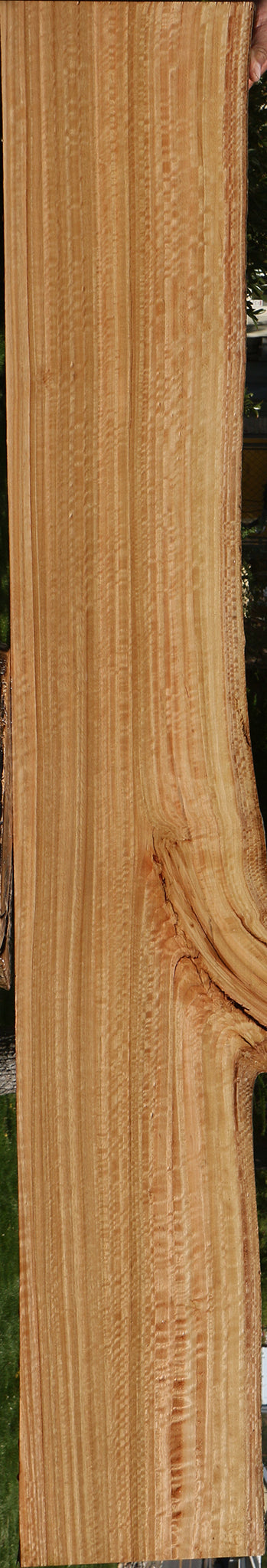 Extra Fancy Quartersawn Eucalyptus Live Edge Slab