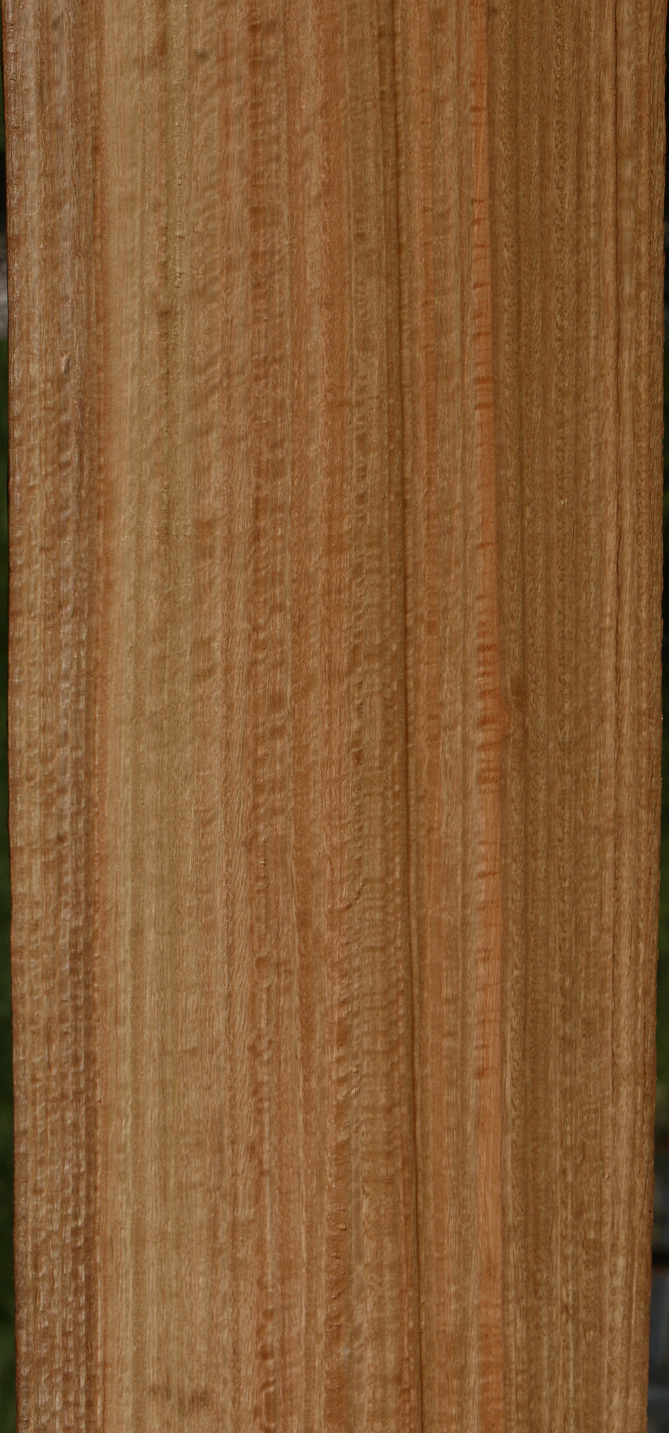 Figured Rustic Eucalyptus Live Edge Slab