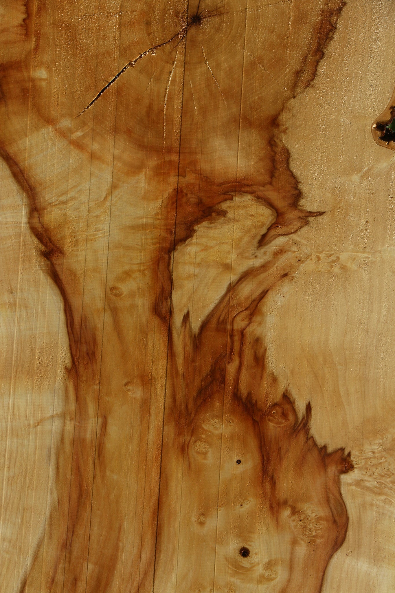 Box Elder Live Edge Mini Slab