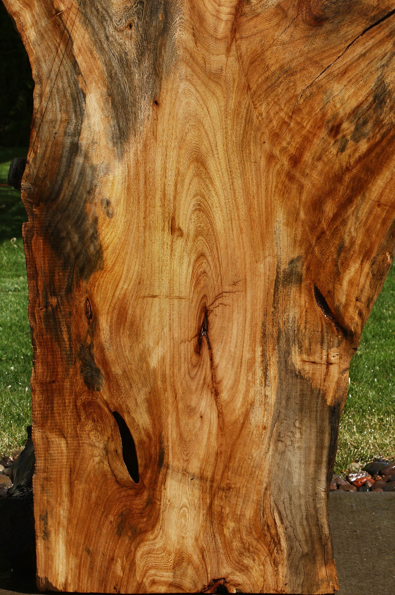 Rustic Hackberry Live Edge Slab