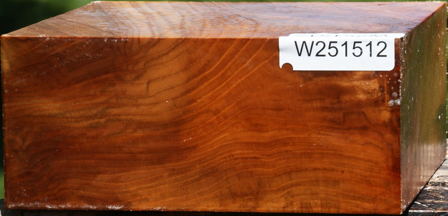 Figured Chinese Elm Bowl Blank