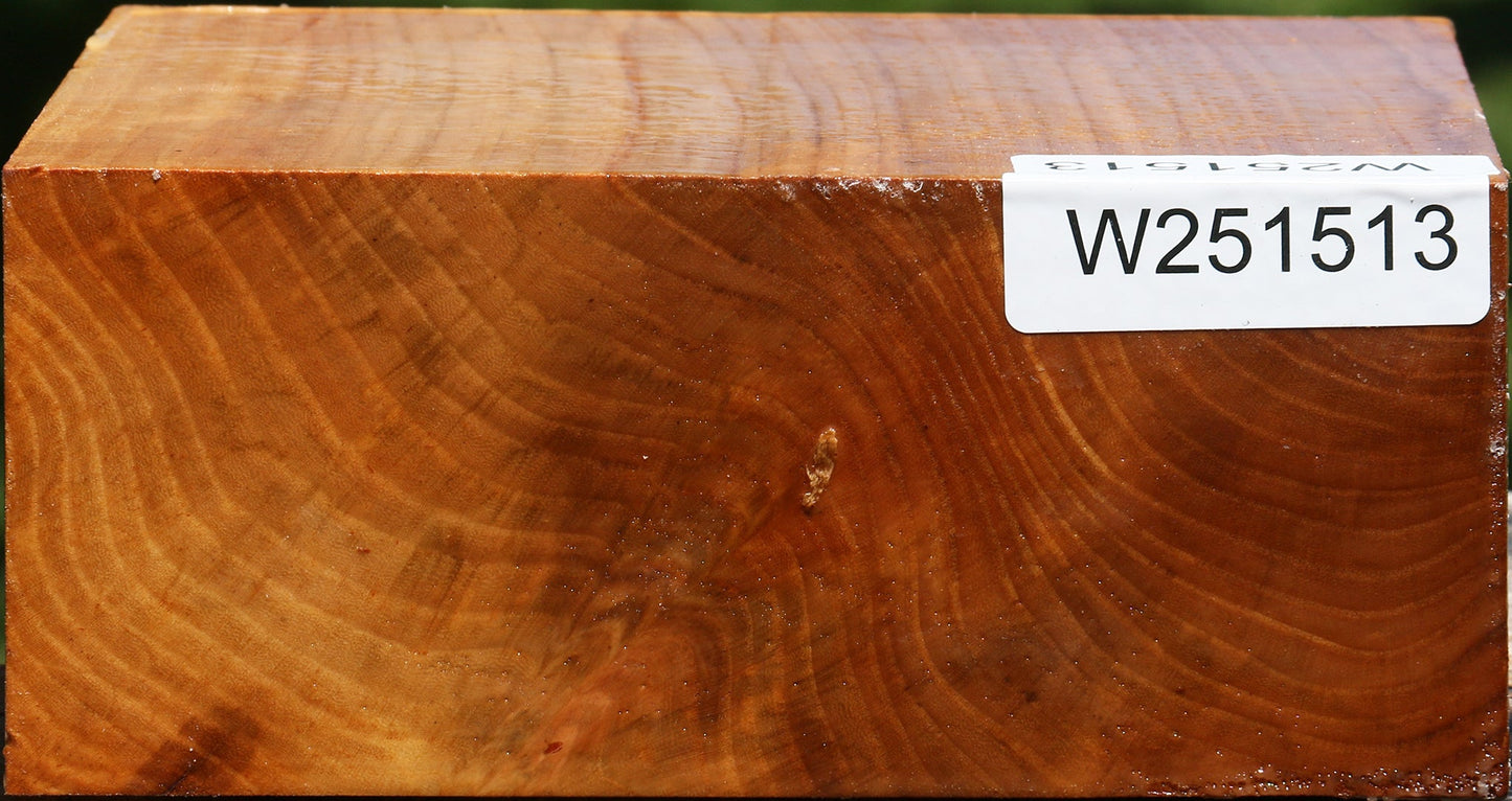 Chinese Elm Bowl Blank