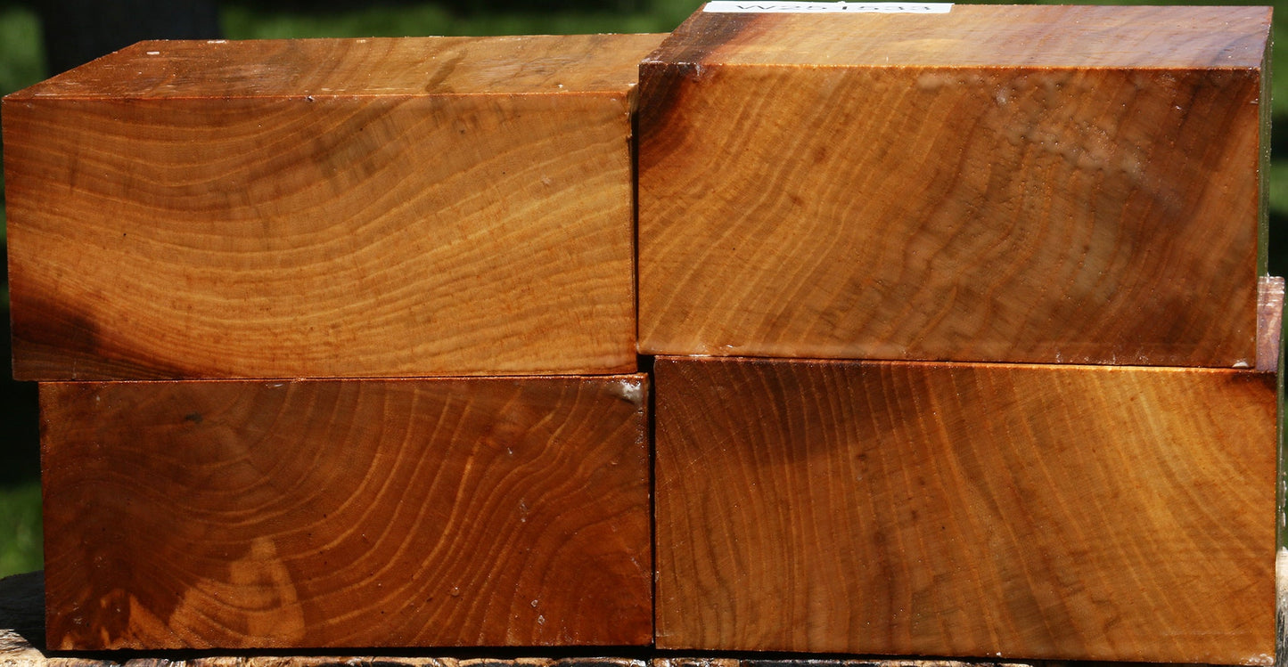 Chinese Elm Bowl Blank 4 Pack