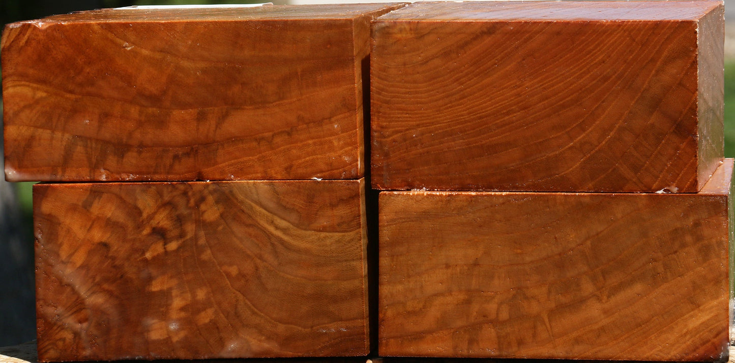 Chinese Elm Bowl Blank 4 Pack