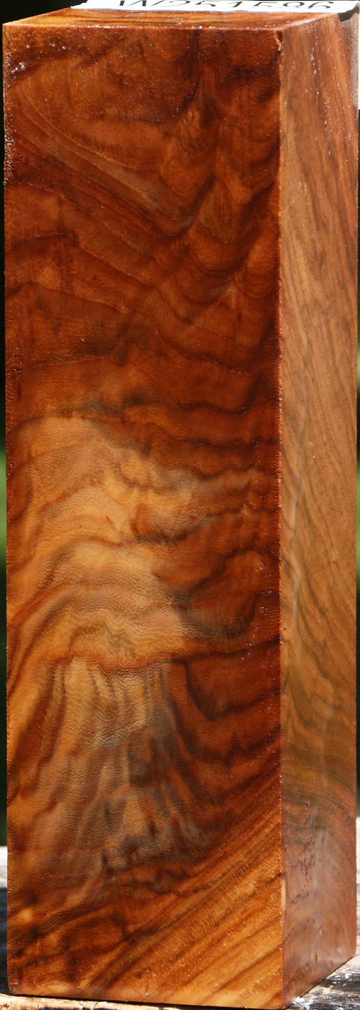 Extra Fancy Chinese Elm Turning Square