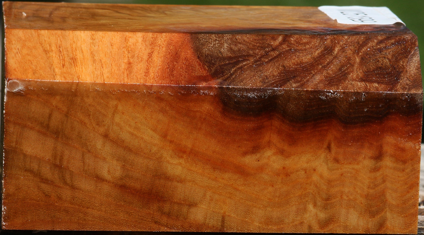 Figured Chinese Elm Bowl Blank