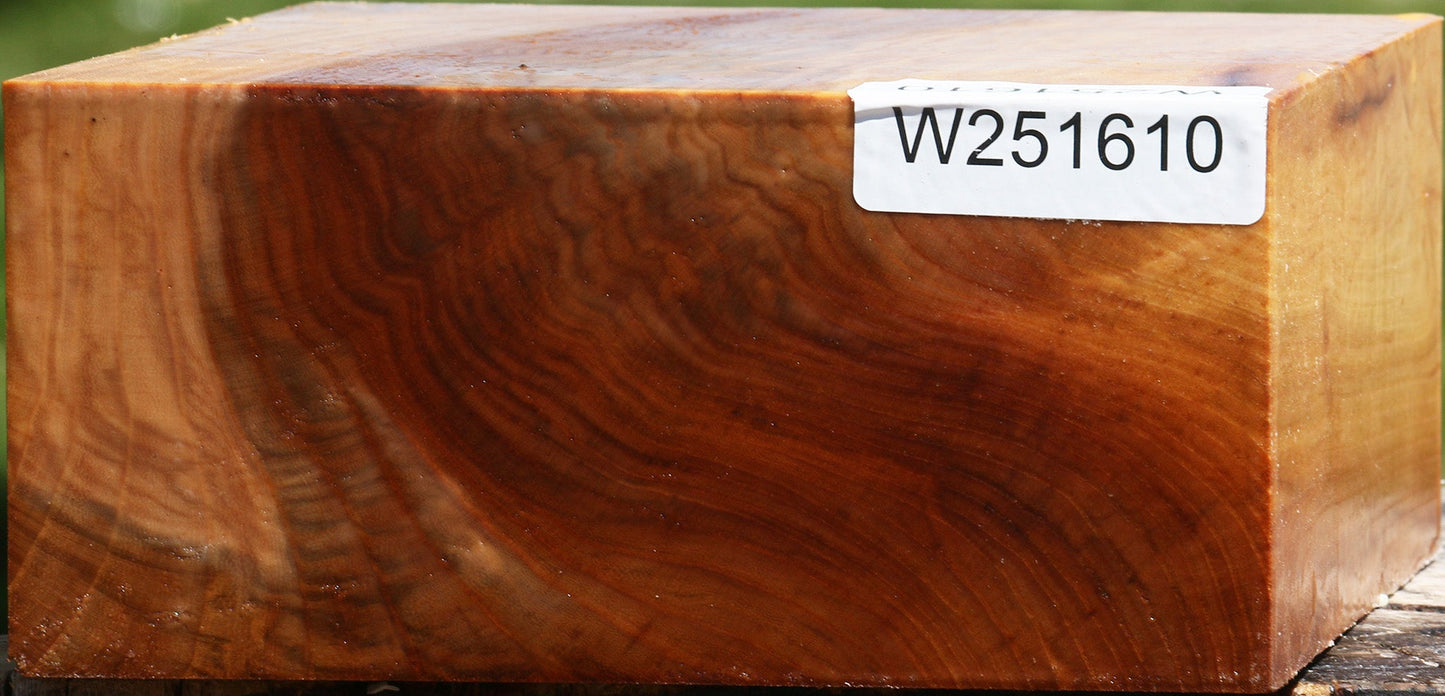 Figured Chinese Elm Bowl Blank